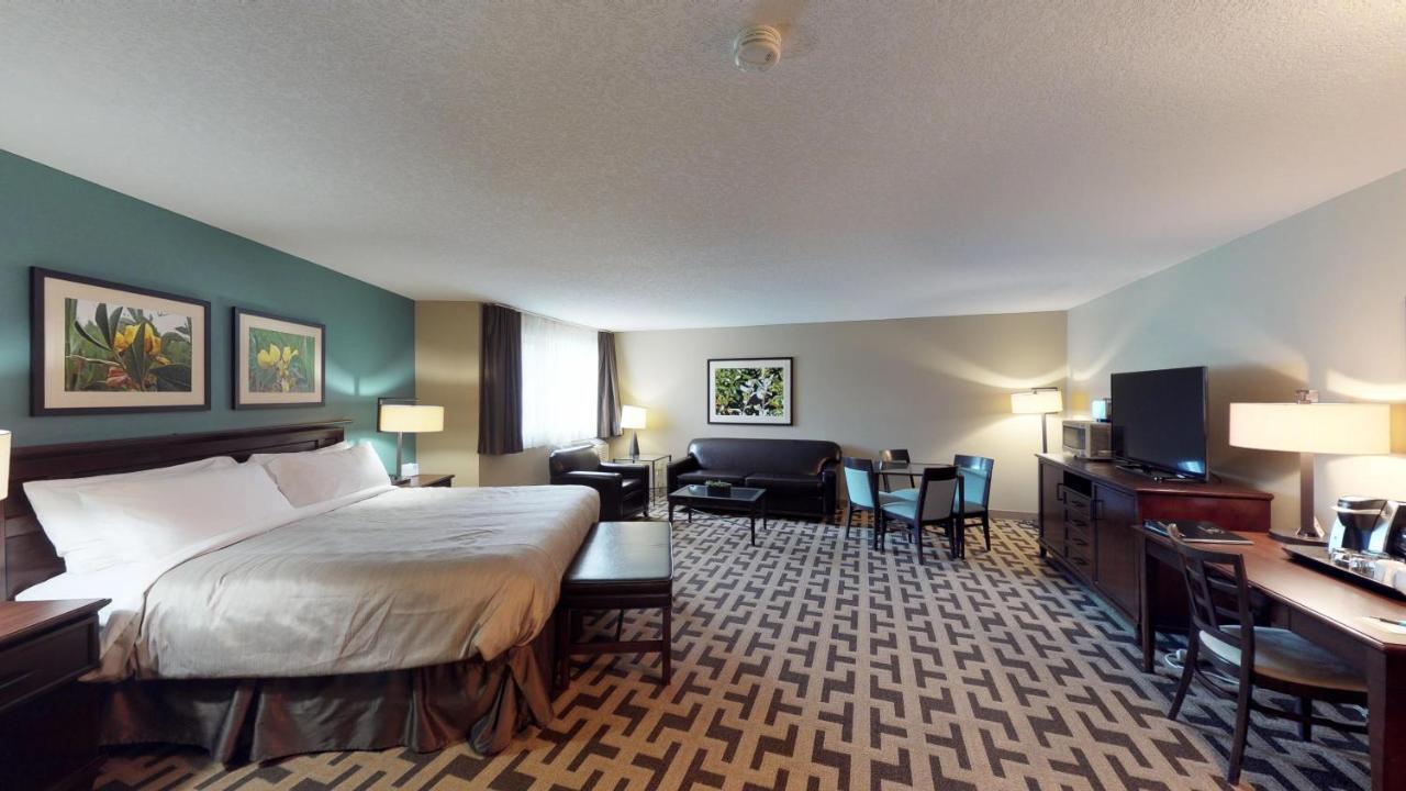 Executive King Suite